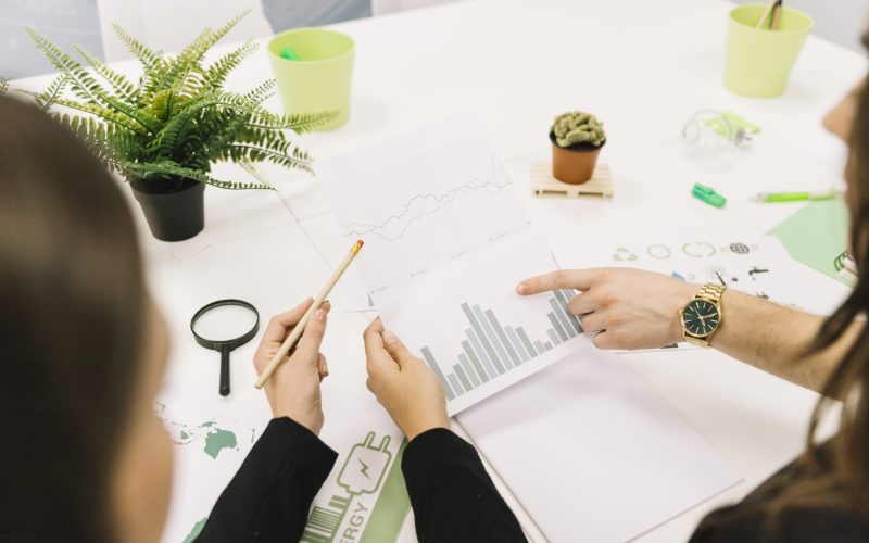 Analyse de données énergétiques et graphiques de consommation lors d’un accompagnement client